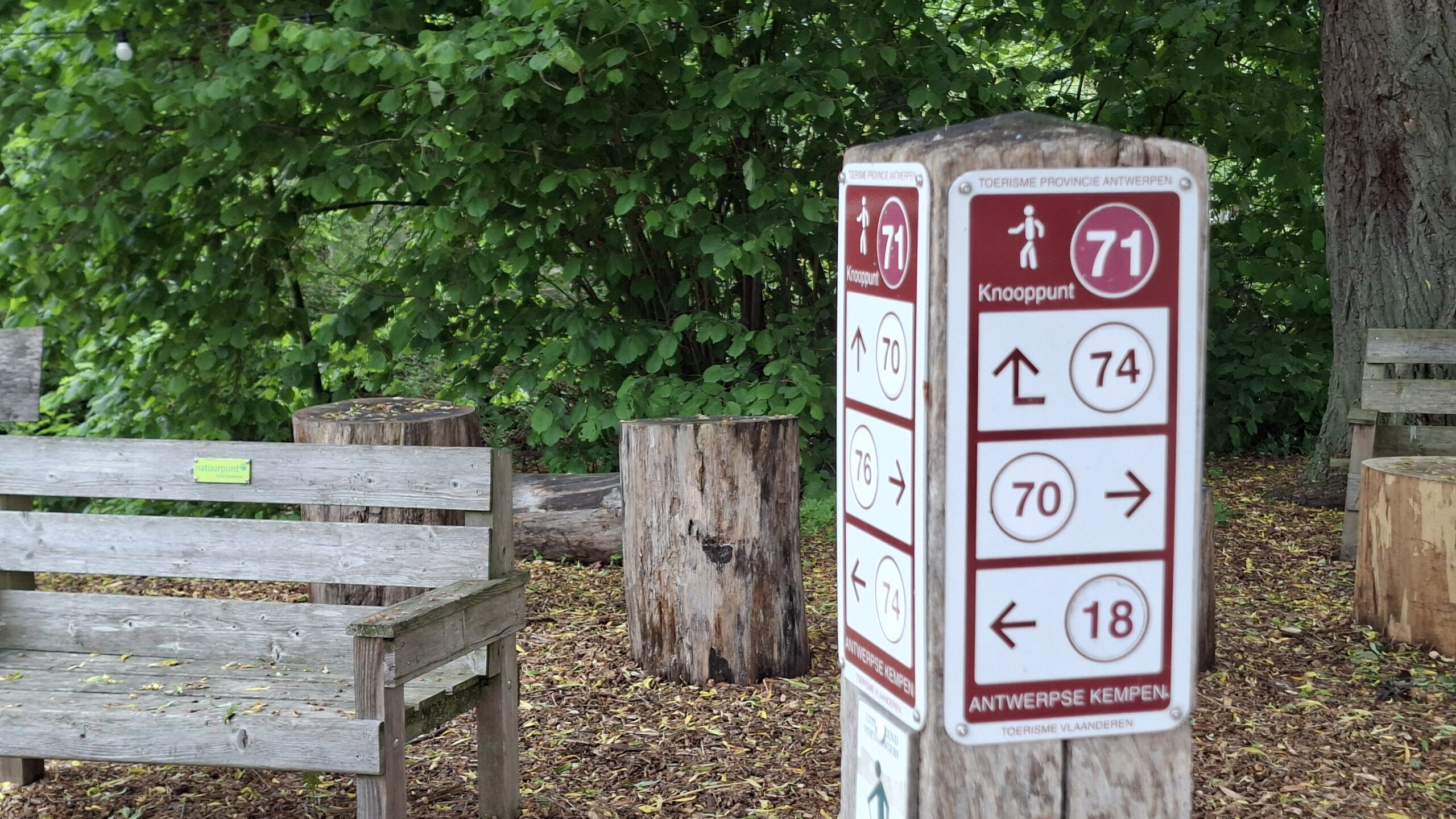 Nieuw wandelpad rond Peer Plimp in Meerhout