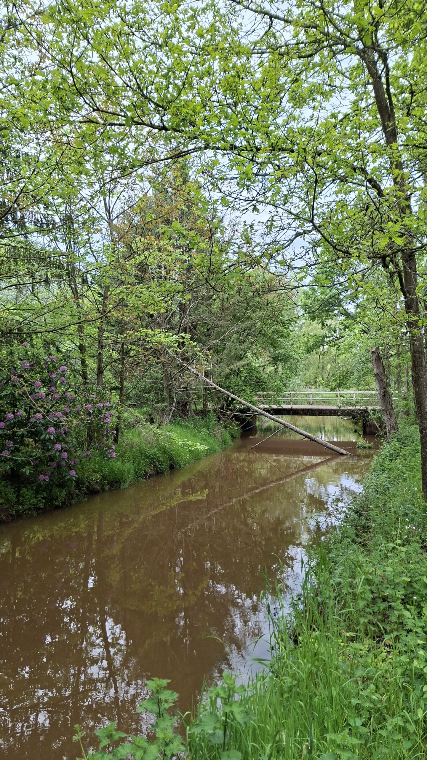 brug nete