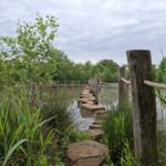 Drevenpad: wandelen tussen statige dreven en moerasnatuur