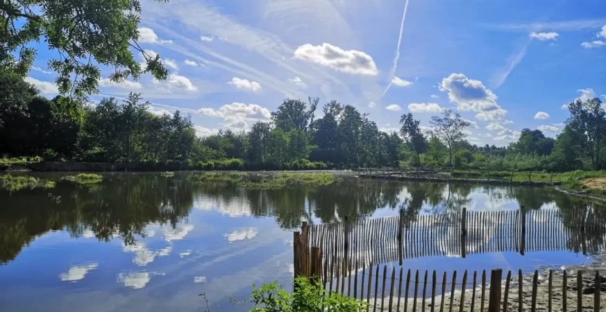 Grote Netewoud Totterpad Watermolen vijver