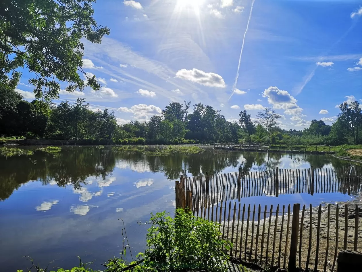 Grote Netewoud Totterpad Watermolen vijver